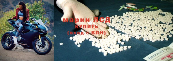 ГАЛЛЮЦИНОГЕННЫЕ ГРИБЫ Алзамай
