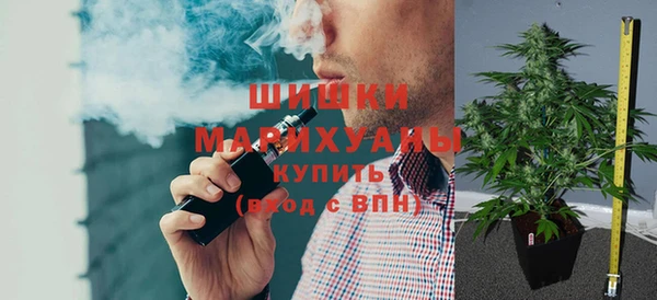 ГАЛЛЮЦИНОГЕННЫЕ ГРИБЫ Алзамай