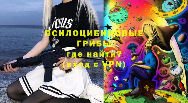 ГАЛЛЮЦИНОГЕННЫЕ ГРИБЫ Алзамай