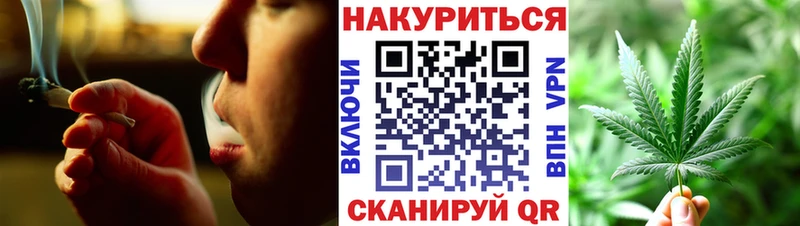Бошки Шишки план  MEGA ONION  Боровск 
